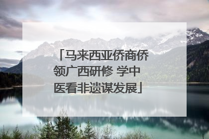 马来西亚侨商侨领广西研修 学中医看非遗谋发展